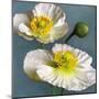 Poppy Parfait I-Janel Pahl-Mounted Art Print