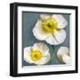 Poppy Parfait II-Janel Pahl-Framed Art Print