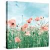 Poppy Pasture-Joseph Eta-Stretched Canvas