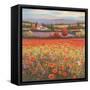 Poppy Pastures I-TC Chiu-Framed Stretched Canvas