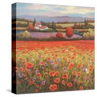 Poppy Pastures I-TC Chiu-Stretched Canvas