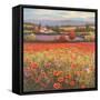 Poppy Pastures I-TC Chiu-Framed Stretched Canvas