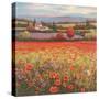 Poppy Pastures I-TC Chiu-Stretched Canvas