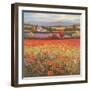 Poppy Pastures I-TC Chiu-Framed Art Print