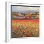 Poppy Pastures I-TC Chiu-Framed Art Print