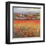 Poppy Pastures I-TC Chiu-Framed Art Print