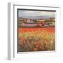 Poppy Pastures I-TC Chiu-Framed Art Print