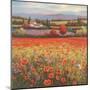 Poppy Pastures I-TC Chiu-Mounted Art Print