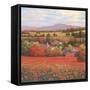 Poppy Pastures II-TC Chiu-Framed Stretched Canvas