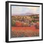 Poppy Pastures II-TC Chiu-Framed Art Print