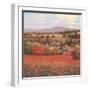 Poppy Pastures II-TC Chiu-Framed Art Print