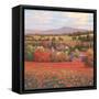 Poppy Pastures II-TC Chiu-Framed Stretched Canvas