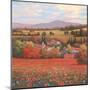 Poppy Pastures II-TC Chiu-Mounted Art Print