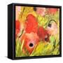 Poppy Patch II-Ruth Palmer-Framed Stretched Canvas