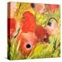 Poppy Patch II-Ruth Palmer-Stretched Canvas