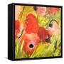 Poppy Patch II-Ruth Palmer-Framed Stretched Canvas