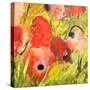 Poppy Patch II-Ruth Palmer-Stretched Canvas