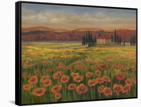 Poppy Path to Home I-Julie Joy-Framed Stretched Canvas