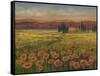 Poppy Path to Home I-Julie Joy-Framed Stretched Canvas