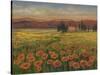 Poppy Path to Home I-Julie Joy-Stretched Canvas