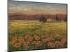 Poppy Path to Home I-Julie Joy-Mounted Art Print