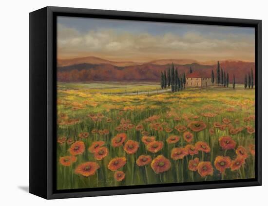 Poppy Path to Home I-Julie Joy-Framed Stretched Canvas