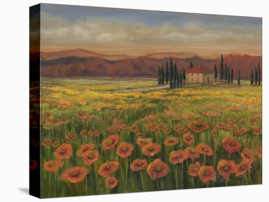 Poppy Path to Home I-Julie Joy-Stretched Canvas