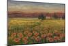 Poppy Path To Home-null-Mounted Art Print