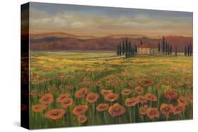 Poppy Path To Home-null-Stretched Canvas