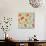 Poppy Pattern II-Irina Trzaskos Studios-Giclee Print displayed on a wall