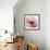 Poppy Pink-Albert Koetsier-Framed Art Print displayed on a wall