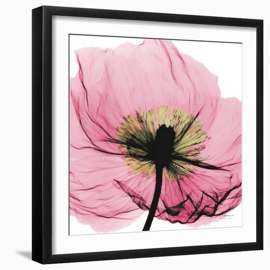 Poppy Pink-Albert Koetsier-Framed Art Print