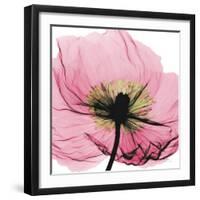 Poppy Pink-Albert Koetsier-Framed Art Print