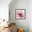 Poppy Pink-Albert Koetsier-Framed Art Print displayed on a wall