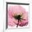 Poppy Pink-Albert Koetsier-Framed Art Print