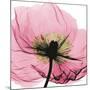Poppy Pink-Albert Koetsier-Mounted Art Print