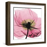 Poppy Pink-Albert Koetsier-Framed Art Print