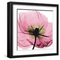 Poppy Pink-Albert Koetsier-Framed Art Print