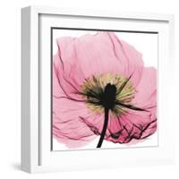 Poppy Pink-Albert Koetsier-Framed Art Print