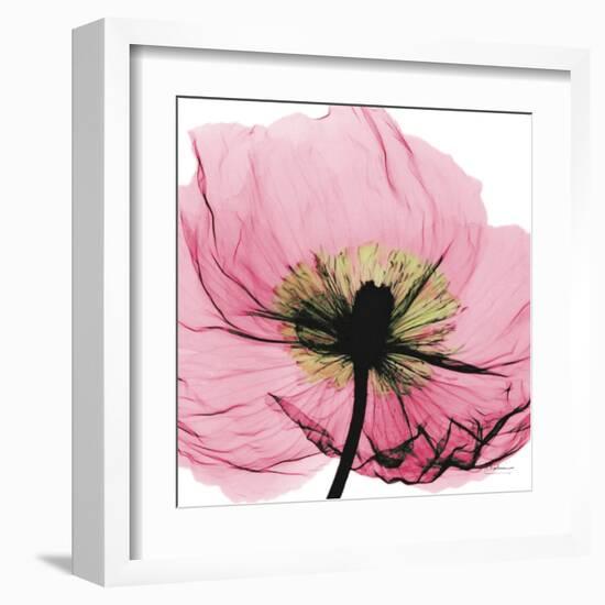 Poppy Pink-Albert Koetsier-Framed Art Print