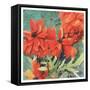 Poppy Play I-R. Collier-Morales-Framed Stretched Canvas