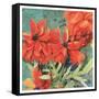 Poppy Play I-R. Collier-Morales-Framed Stretched Canvas