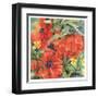 Poppy Play II-R. Collier-Morales-Framed Art Print