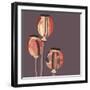 Poppy Pods-Emily Burrowes-Framed Giclee Print