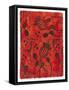 Poppy Pods-Maria Pietri Lalor-Framed Stretched Canvas