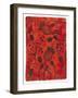 Poppy Pods-Maria Pietri Lalor-Framed Giclee Print