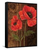 Poppy Portrait I-Todd Williams-Framed Stretched Canvas