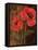 Poppy Portrait I-Todd Williams-Framed Stretched Canvas