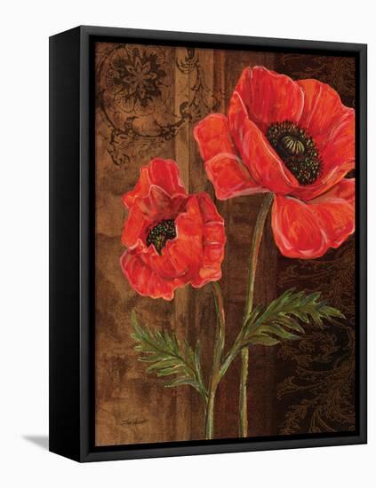Poppy Portrait I-Todd Williams-Framed Stretched Canvas