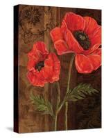 Poppy Portrait I-Todd Williams-Stretched Canvas